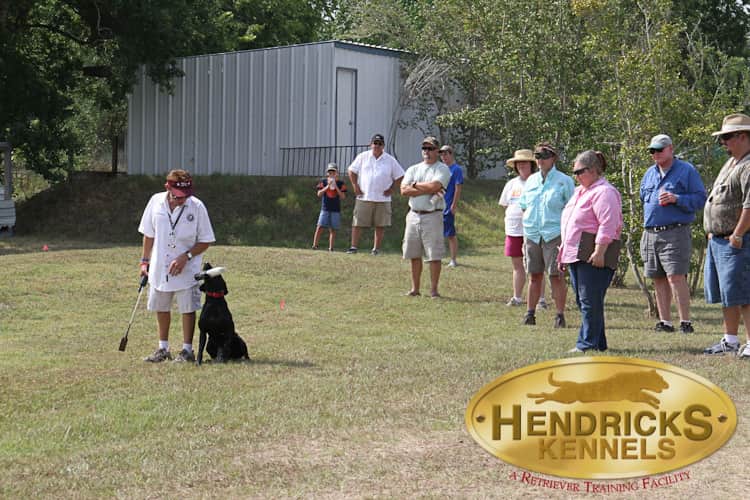 Katy Texas Dog Obedience Training Hendricks Kennels Houston Area Dog